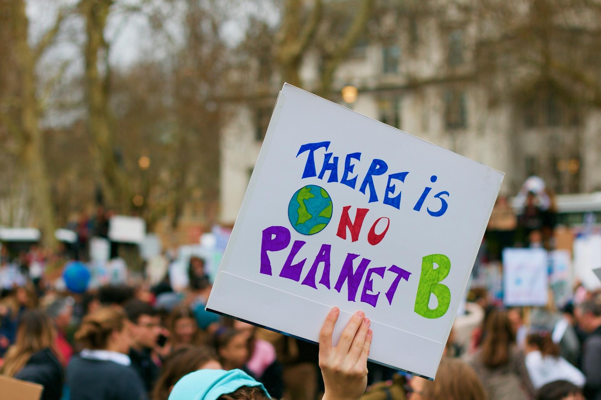 Ein Demonstrant hält auf einer großen Demo ein Plakat mit dem Schriftzug There is no Planet B hoch.