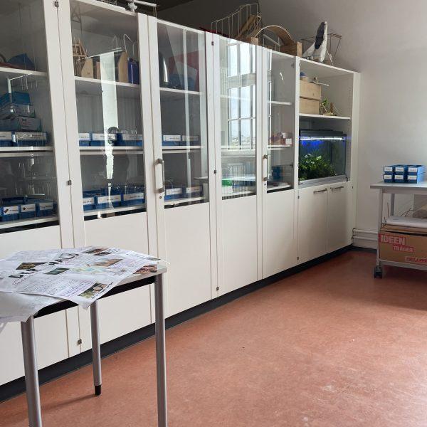 Gut ausgestattete Materialschränke und das Aquarium im Biologie-Fachraum.