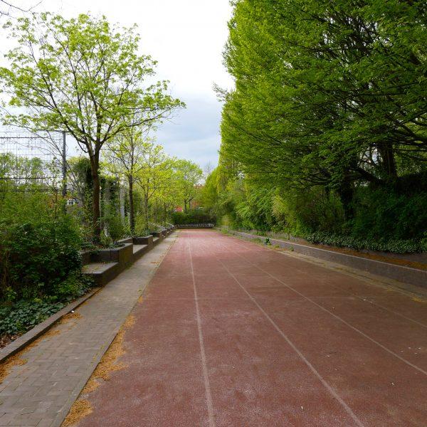 Lange Tartanbahn im Schatten der Bäume