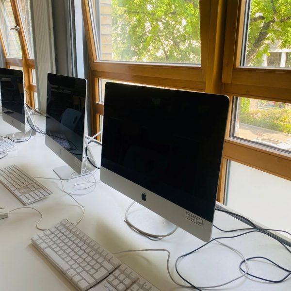 Vor großen, modernen Holzfenstern mit Blick ins Grüne befinden sich viele Computerarbeitsplätze an modernen Apple-Computern.