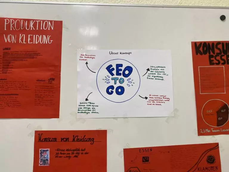 FEO TO GO (9e-1)