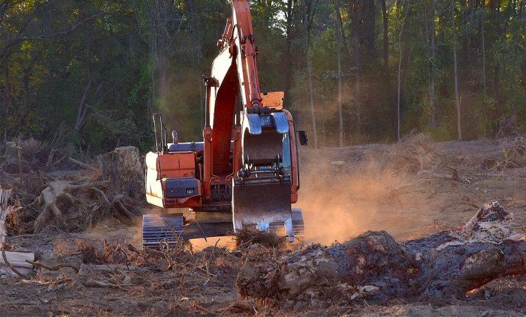 Die Abholzung des Amazonas-Regenwaldes