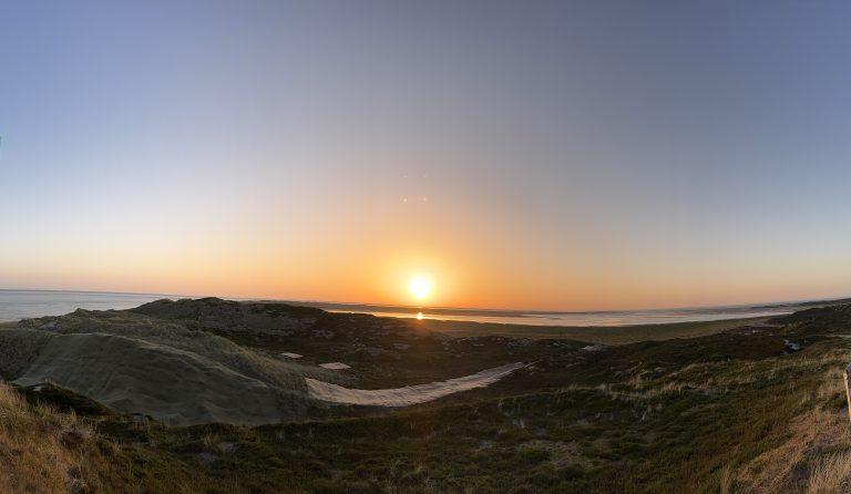 Biologie live erleben: Unsere Kursfahrt 2026 nach Sylt